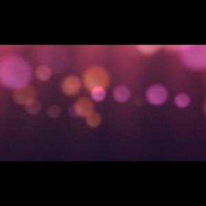 Meet your Posher, Lola